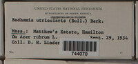 Image Associated With the Occurence